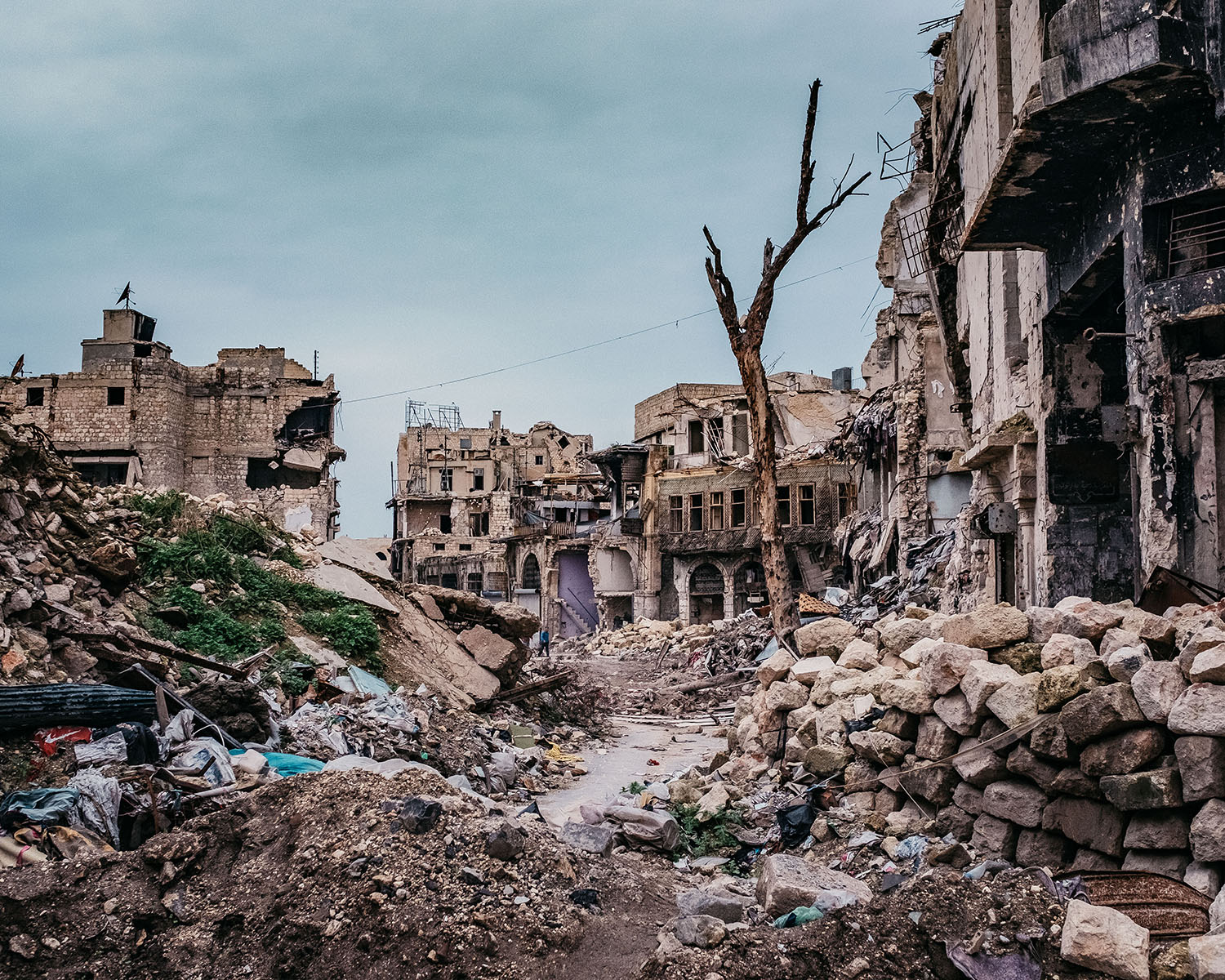 Wie der Krieg auch die Umwelt zerstört | Innehalten