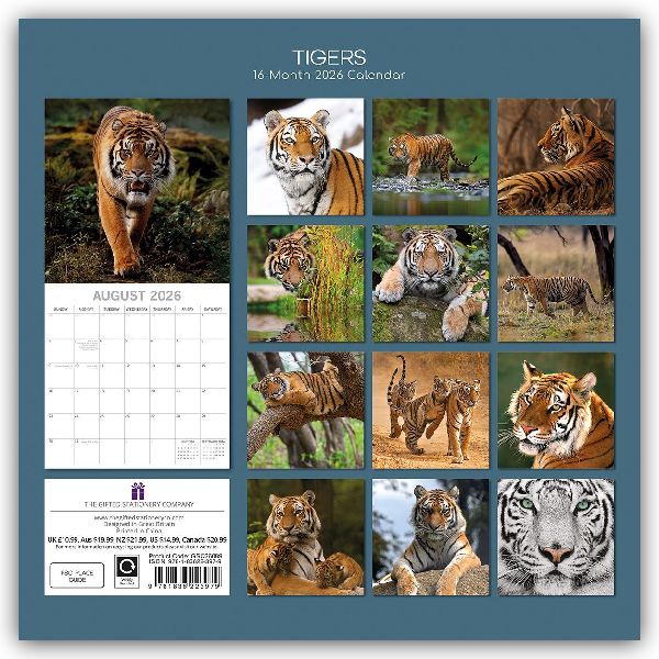 Tigers - Tiger 2026 - 16-Monatskalender