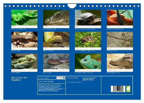 Das Leben der Reptilien (Wandkalender 2026 DIN A4 quer), CALVENDO Monatskalender