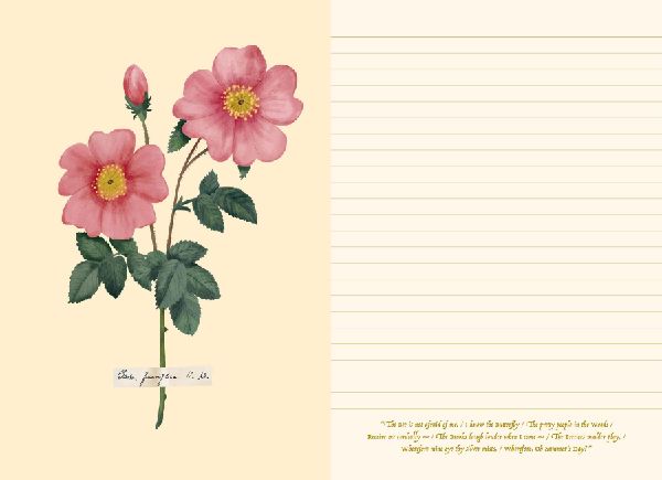 Poetry of Flowers