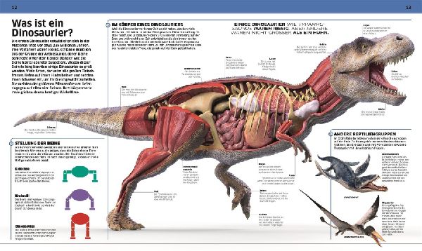 DK Wissen. Dinosaurier