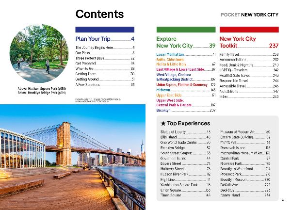 Lonely Planet Pocket New York City