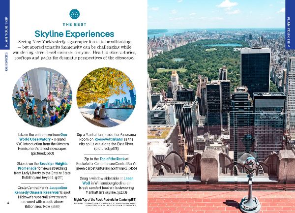 Lonely Planet Pocket New York City