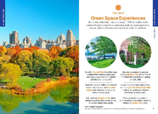 Lonely Planet Pocket New York City
