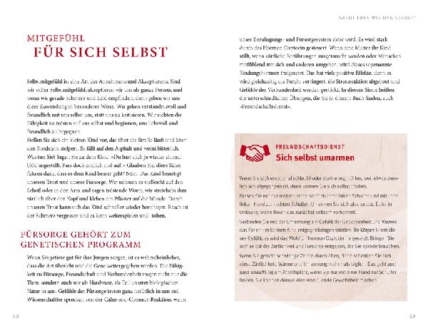 Der Feind in meinem Kopf