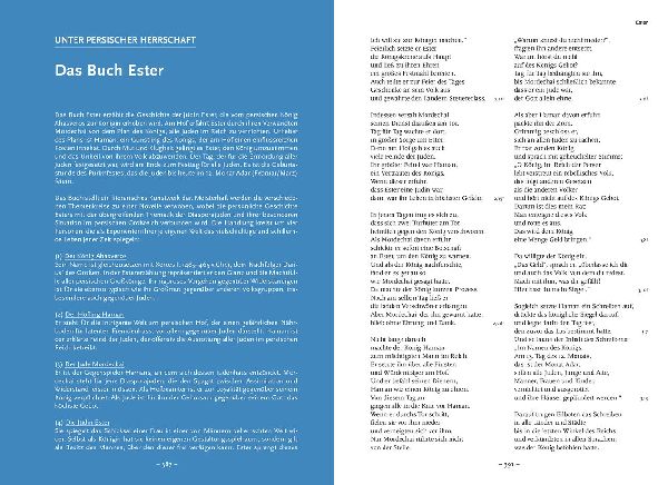 Neukirchener Bibel - Das Alte Testament