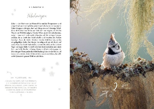Winter Moments in Nature - der Adventskalender