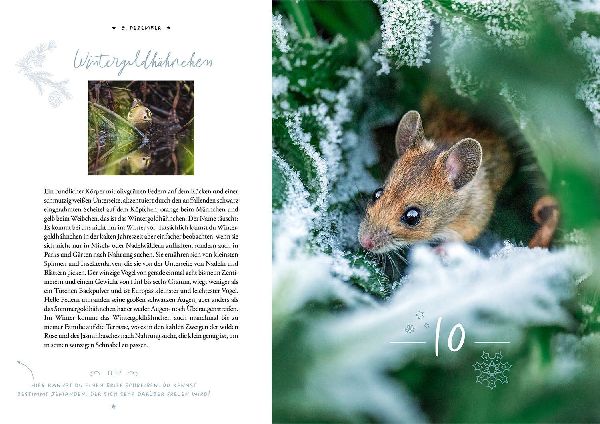 Winter Moments in Nature - der Adventskalender