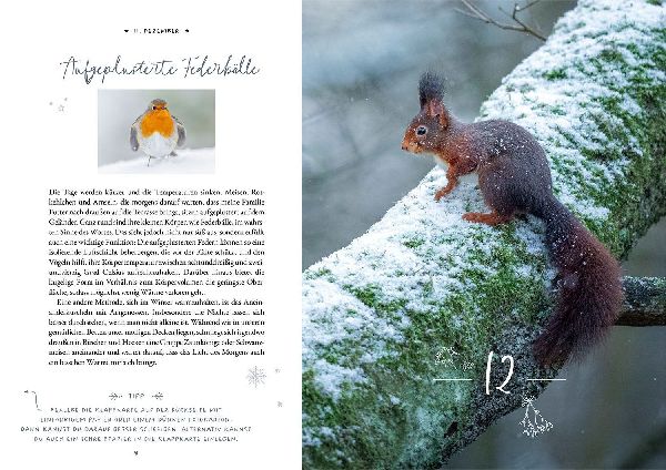 Winter Moments in Nature - der Adventskalender