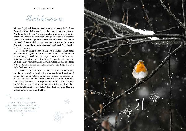 Winter Moments in Nature - der Adventskalender
