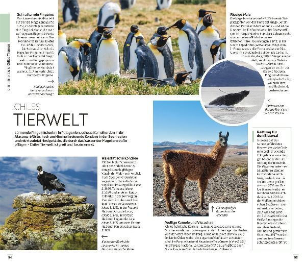 Vis-à-Vis Reiseführer Chile & Osterinsel