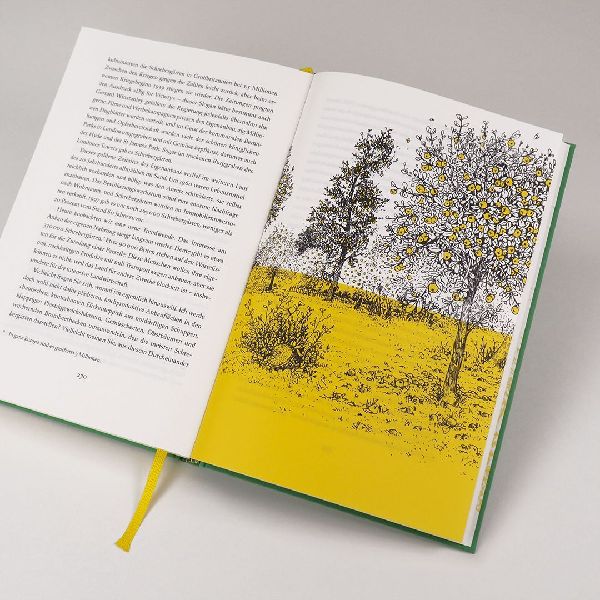 Wildlife Gardening