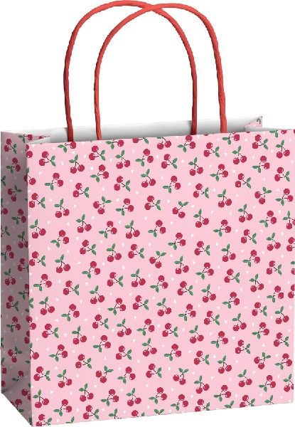 Geschenktaschen 20x8cm Yumi rosa
