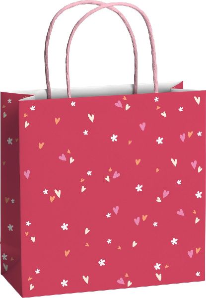 Geschenktaschen 20x8cm Yumi rosa
