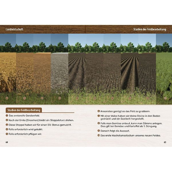Landwirtschaftssimulator 25 - Der inoffizielle Guide