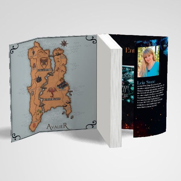 The Last Dragon King - Die Chroniken von Avalier 1