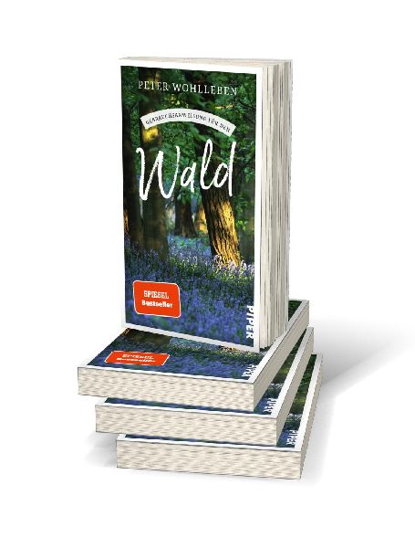 Gebrauchsanweisung für den Wald