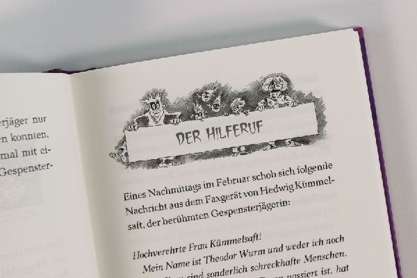 Gespensterjäger in der Gruselburg (Band 3) - Mit 8 neu illustrierten Farbseiten