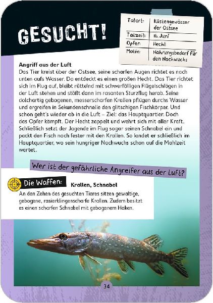 Expedition Natur - Tatort Natur
