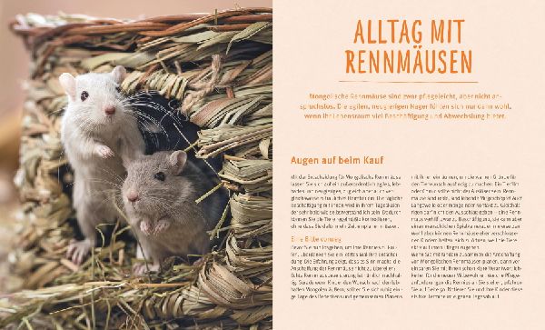 Rennmäuse