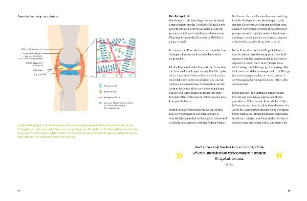 Arthrose endlich heilen