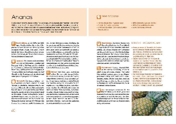 Obst und Gemüse als Medizin. Die besten Nahrungsmittel für Ihre Gesundheit