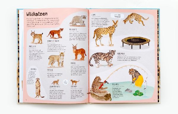 Das Katzen-Buch