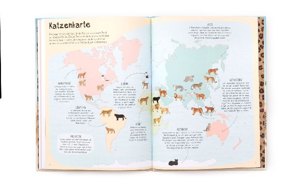 Das Katzen-Buch