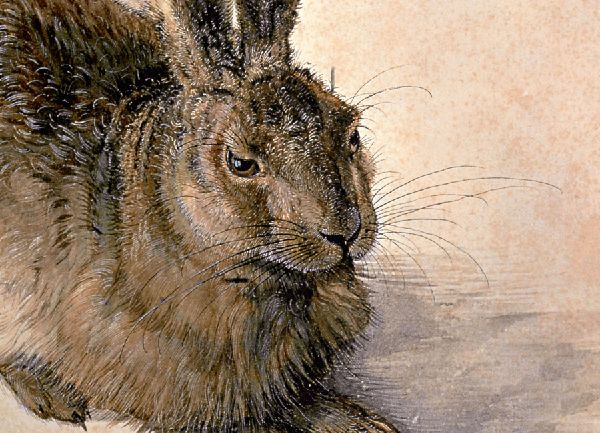 Albrecht Dürer
