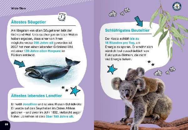 Guinness World Records für Erstleser - Die besten Rekorde für Erstleser