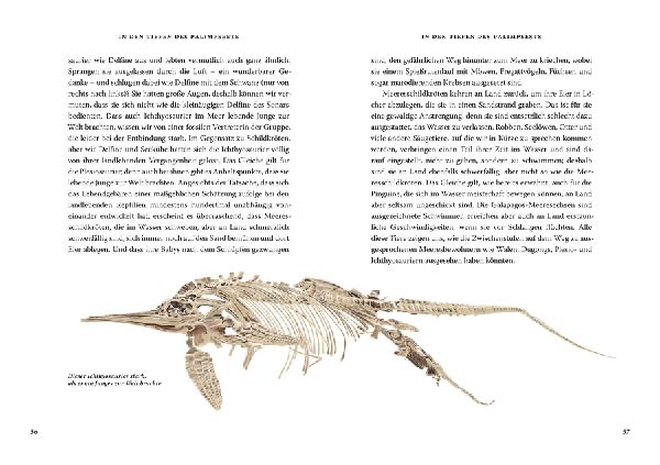 Das große Buch der Evolution