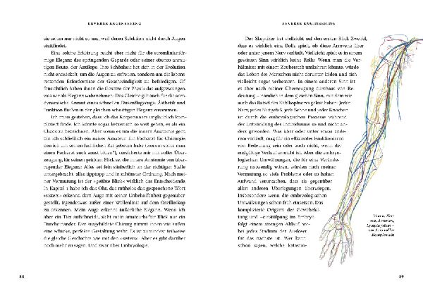 Das große Buch der Evolution
