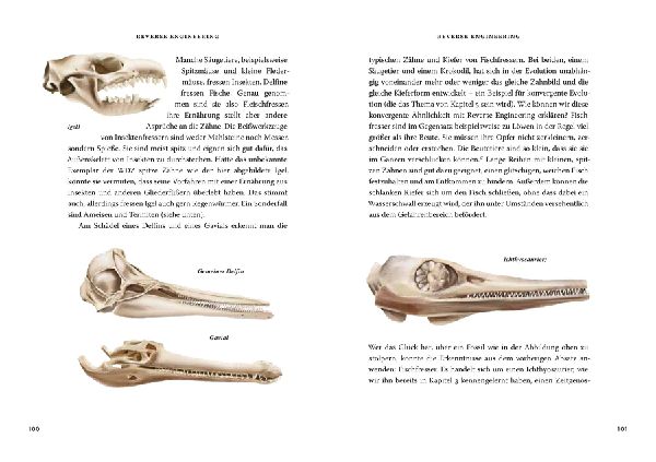 Das große Buch der Evolution