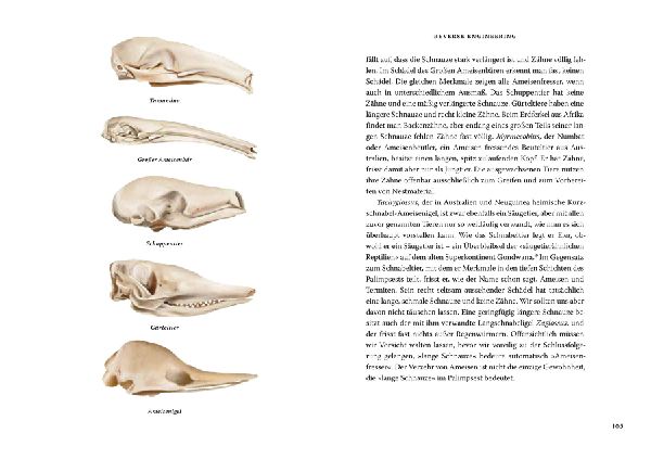 Das große Buch der Evolution