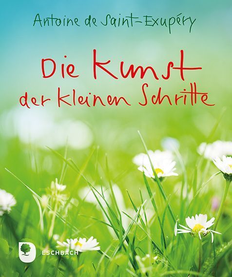 Die Kunst der kleinen Schritte