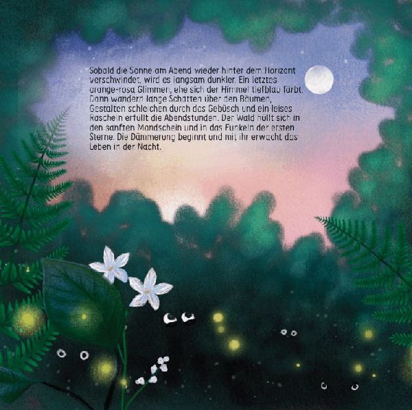 Finn Fledermaus und das Blenden in der Nacht