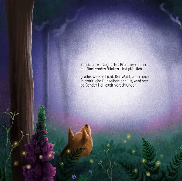 Finn Fledermaus und das Blenden in der Nacht