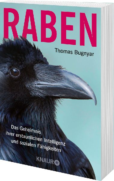 Raben