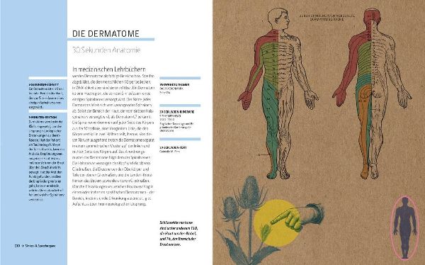 Anatomie und Medizin in 30 Sekunden