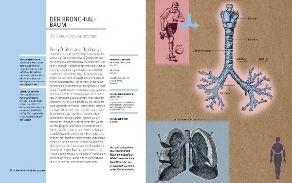 Anatomie und Medizin in 30 Sekunden