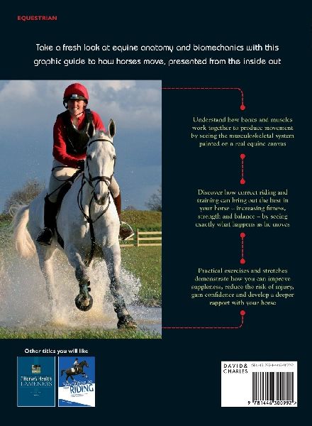 How Your Horse Moves