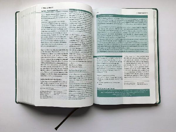 Die Bibel mit Impulsen von Joyce Meyer