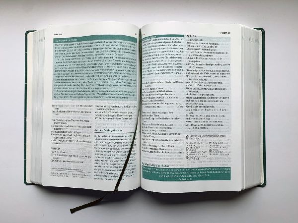 Die Bibel mit Impulsen von Joyce Meyer