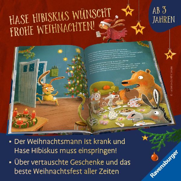 Hase Hibiskus und das Weihnachtstier