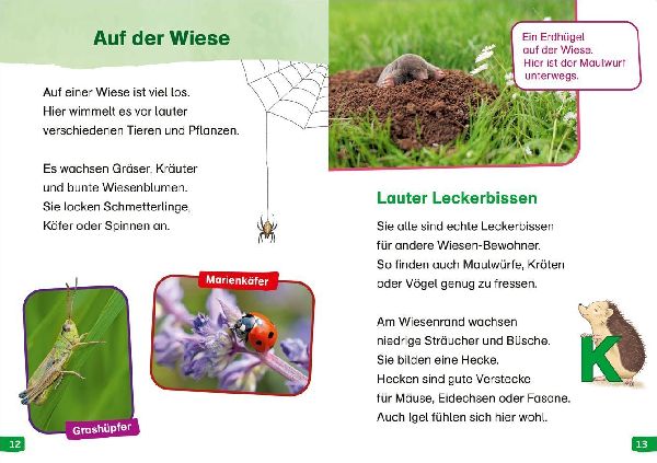 WAS IST WAS Erstes Lesen easy! Band 11. Raus in die Natur