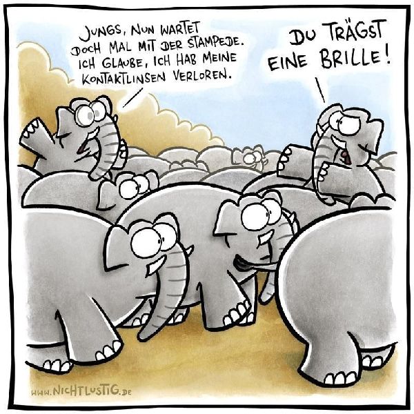 NICHTLUSTIG Cartoons 2007-2008