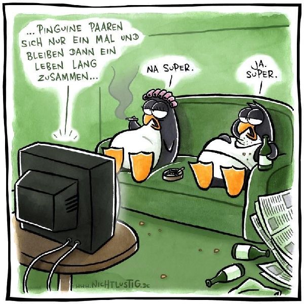 NICHTLUSTIG Cartoons 2007-2008