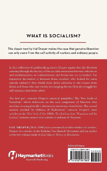 Socialism from Below