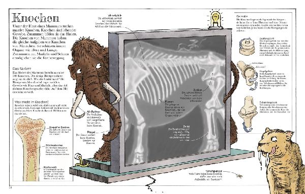 Das Mammut-Buch Naturwissenschaften