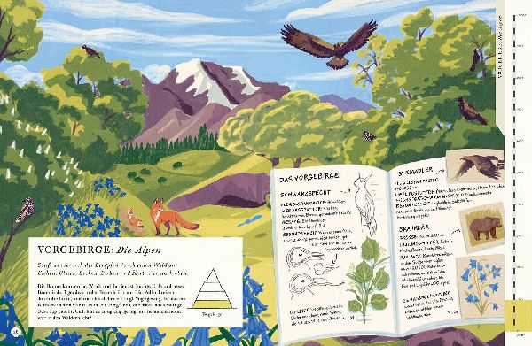 Besteige den Berg in diesem Buch